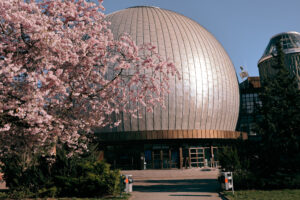 Kopuła planetarium w Berlinie za kwitnącą magnolią
